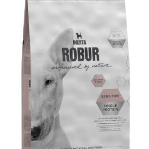 Robur Dog Adult Sensitive Single Protein Salmon 12