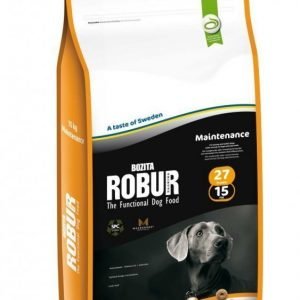 Robur Maintenance 27 / 15 15kg