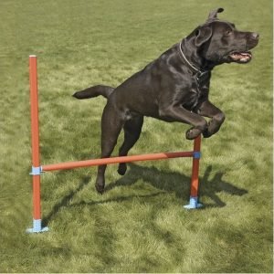 Rosewood Agility Aitaesteet