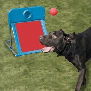 Rosewood Flyball