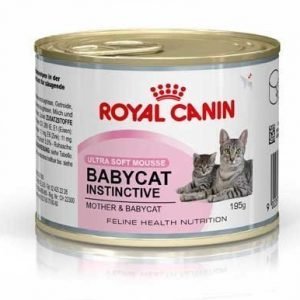 Royal Canin Babycat Instinctive Mousse 12x195 G