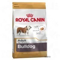 Royal Canin Breed Bulldog Adult - säästöpakkaus: 2 x 12 kg