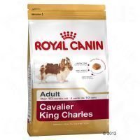 Royal Canin Breed Cavalier King Charles Adult - säästöpakkaus: 2 x 7