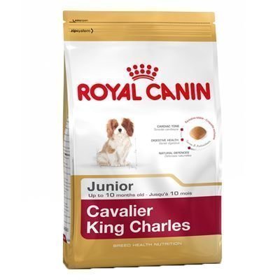 Royal Canin Breed Cavalier King Charles Junior - 1