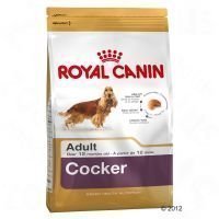 Royal Canin Breed Cocker Adult - säästöpakkaus: 2 x 12 kg