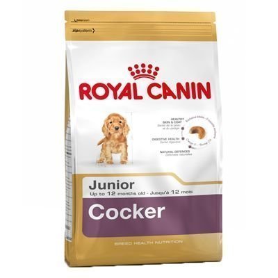 Royal Canin Breed Cocker Junior - 3 kg