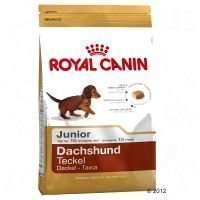 Royal Canin Breed Dachshund Junior - 1