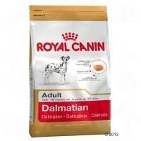 Royal Canin Breed Dalmatian Adult - säästöpakkaus: 2 x 12 kg