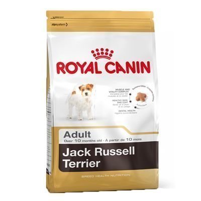 Royal Canin Breed Jack Russell Terrier Adult - 7
