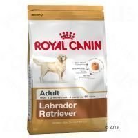 Royal Canin Breed Labrador Retriever Adult - säästöpakkaus: 2 x 12 kg