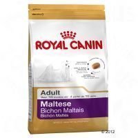 Royal Canin Breed Maltese Adult - säästöpakkaus: 3 x 1