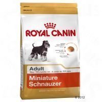 Royal Canin Breed Miniature Schnauzer Adult - säästöpakkaus: 2 x 3 kg