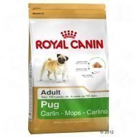 Royal Canin Breed Pug Adult - säästöpakkaus: 2 x 3 kg