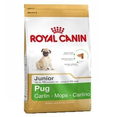 Royal Canin Breed Pug Junior - 1