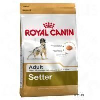 Royal Canin Breed Setter Adult - 12 kg