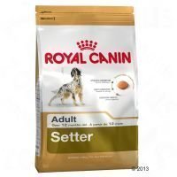 Royal Canin Breed Setter Adult - säästöpakkaus: 2 x 12 kg