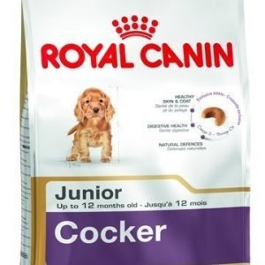 Royal Canin Cocker Spaniel Junior 3 Kg