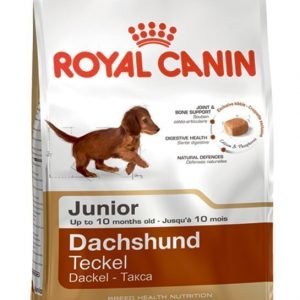 Royal Canin Dachshund Junior 1.5kg