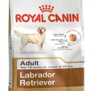 Royal Canin Dog Labrador Retriever Adult 12 Kg