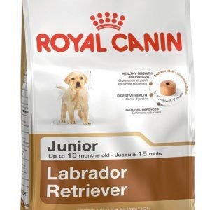 Royal Canin Dog Labrador Retriever Junior 12kg