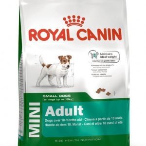 Royal Canin Dog Mini Adult 2 Kg