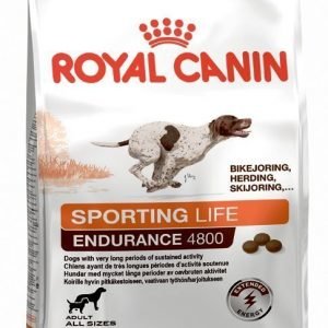 Royal Canin Dog Performance Energy 4800 15 Kg