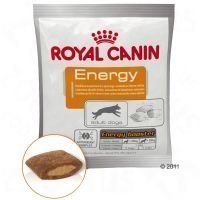 Royal Canin Energy -makupala - säästöpakkaus: 4 x 50 g