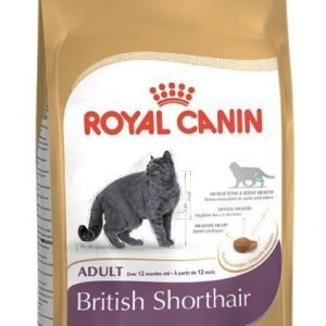 Royal Canin Feline British Shorthair 34 10 Kg