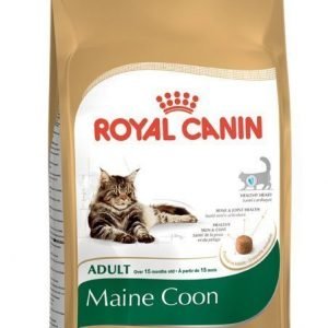 Royal Canin Feline Maine Coon 31 2 Kg