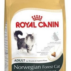 Royal Canin Feline Norwegian Forest Cat 2 Kg