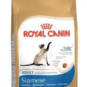 Royal Canin Feline Siamese 38 10 Kg