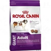 Royal Canin Giant Adult - säästöpakkaus: 2 x 15 kg