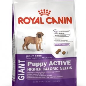 Royal Canin Giant Junior Active 15kg