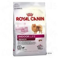 Royal Canin Indoor Life Small Senior - säästöpakkaus: 3 x 1
