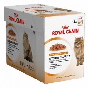 Royal Canin Intense Beauty In Jelly 12x85 G