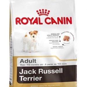 Royal Canin Jack Russell Adult 7