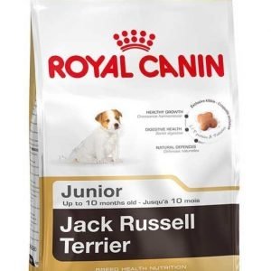 Royal Canin Jack Russell Junior 3 Kg