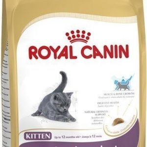 Royal Canin Kitten British Shorthair 10 Kg