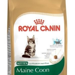 Royal Canin Maine Coon Kitten 10 Kg