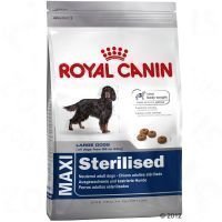Royal Canin Maxi Adult Sterilised - säästöpakkaus: 2 x 12 kg