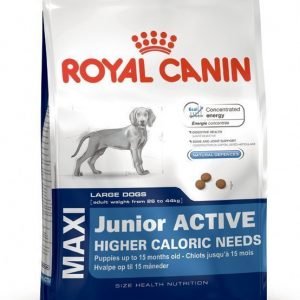 Royal Canin Maxi Junior Active 15kg