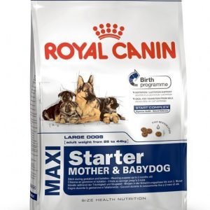 Royal Canin Maxi Starter 15kg