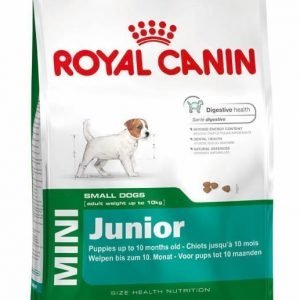 Royal Canin Mini Junior 4 Kg