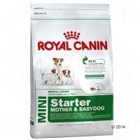 Royal Canin Mini Starter Mother & Babydog - säästöpakkaus: 2 x 8