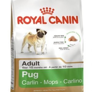 Royal Canin Mops Adult 3 Kg