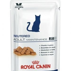 Royal Canin Neutered Adult Maintenance Wet 12x100g