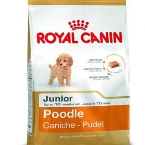 Royal Canin Pudel Junior 3kg