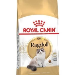 Royal Canin Ragdoll 2 Kg