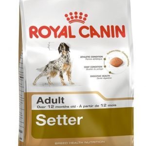 Royal Canin Setter Adult 12kg