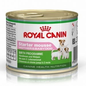 Royal Canin Starter Mousse 12x195 G